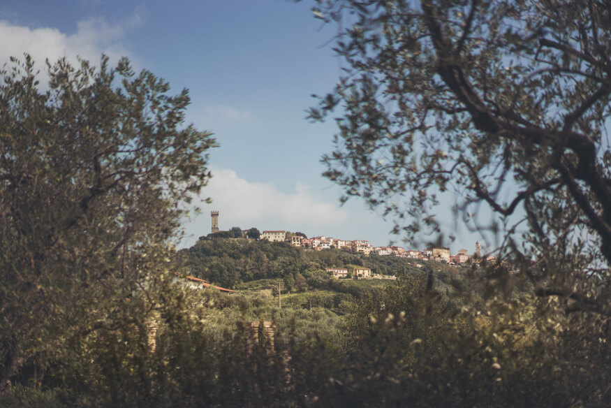 Chiara e Tommaso - Matrimonio a Villa Marigola 017