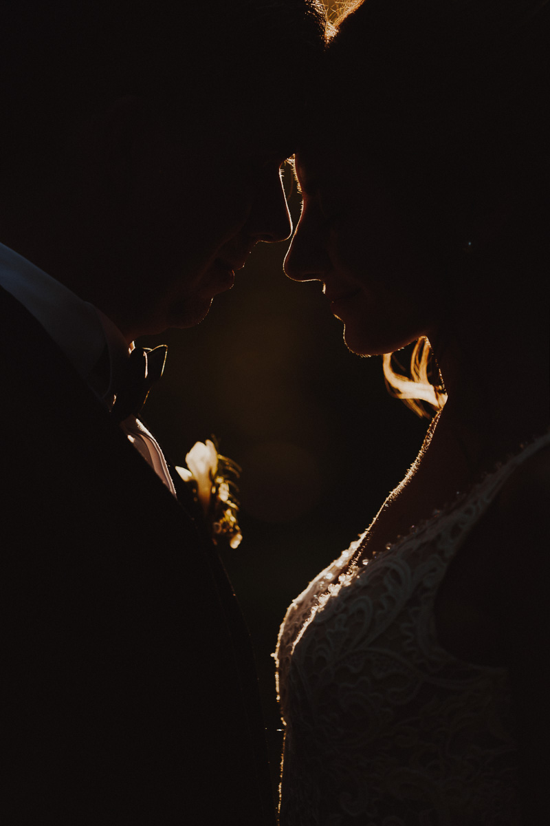 ritratto silhouette sposi